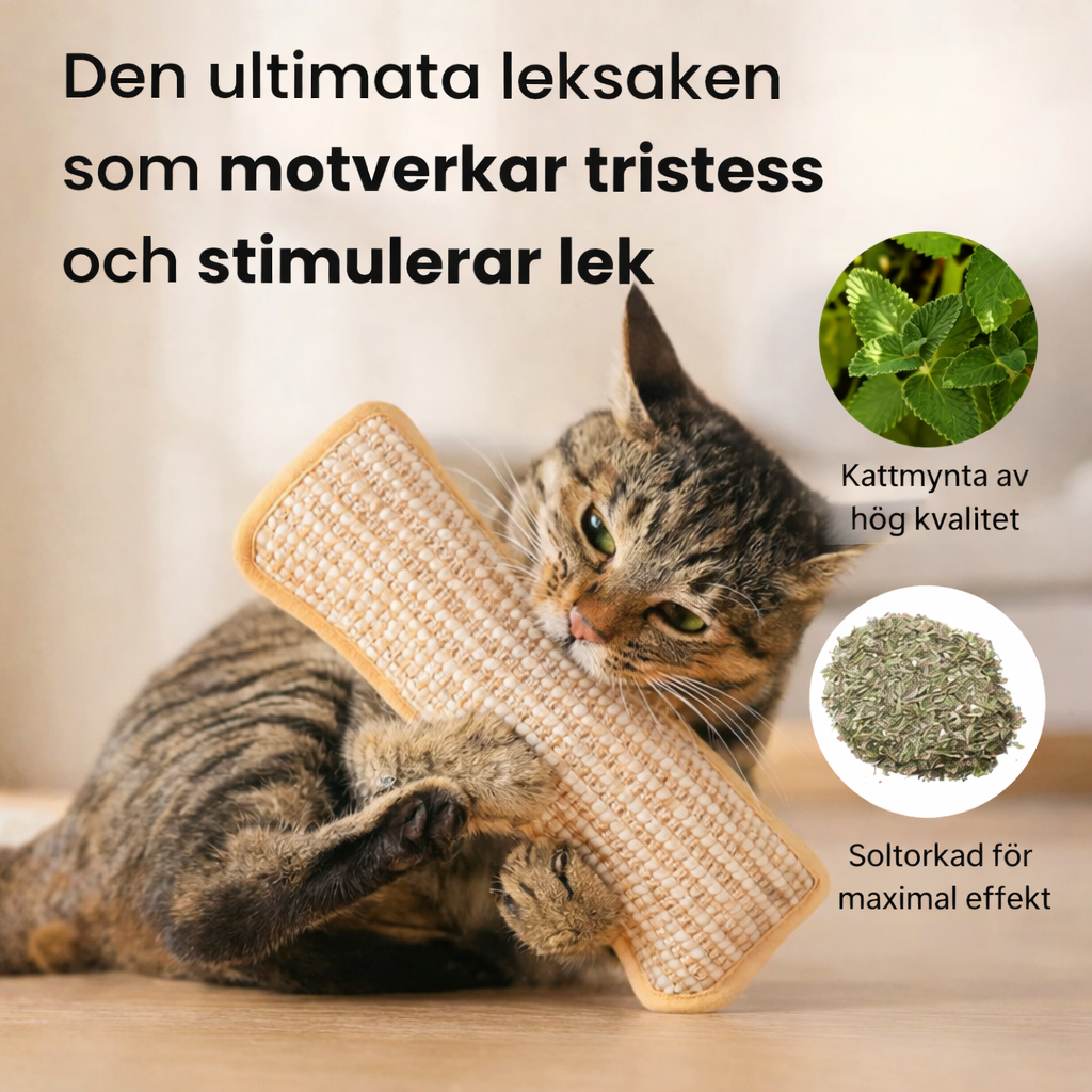 Chewsly™ -Designad för kattens fyra behov